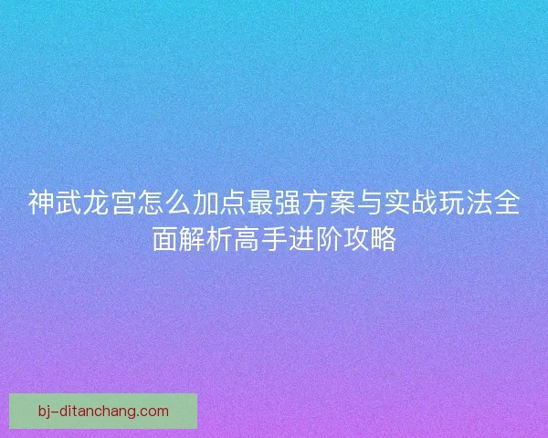 神武龙宫怎么加点最强方案与实战玩法全面解析高手进阶攻略