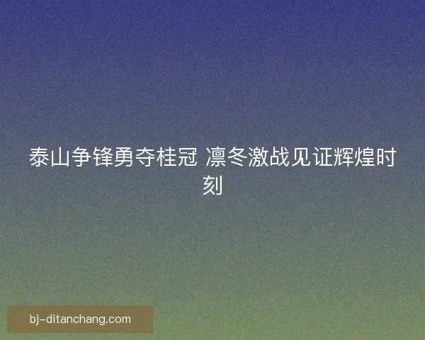 泰山争锋勇夺桂冠 凛冬激战见证辉煌时刻