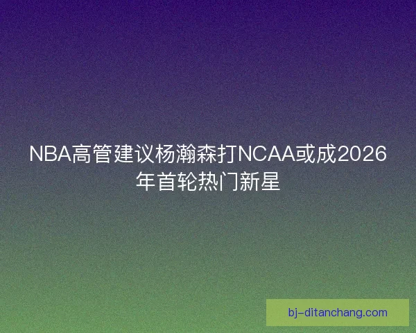 NBA高管建议杨瀚森打NCAA或成2026年首轮热门新星